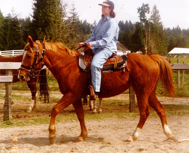 starlaonginger.jpg (93754 bytes)